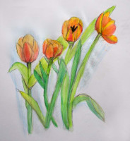 /album/ukazky-praci/julie-tulipany-w-jpg/